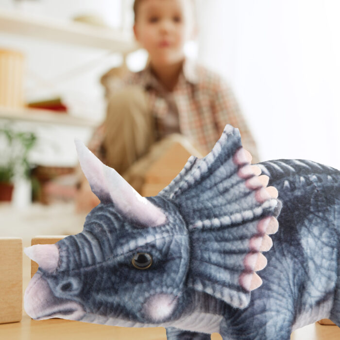 , TOYS & PLUSH